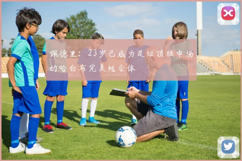 佩德里：23岁已成为足坛顶级中场的哈白布完美结合体