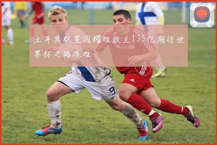 土耳其双星闪耀难救主135亿期待世界杯之路艰难