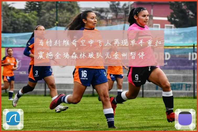 马特科维奇空中飞人再现单手重扣震撼全场森林狼队无奈叫暂停